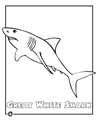 Great White Shark Coloring Page Animals Town Animals Color Shark Coloring Pages Animal Coloring Pages Coloring Pages