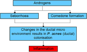 Acne Vulgaris Primary Care Dermatology Society Uk