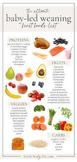 All The 411 On Baby Led Weaning Lovely Lucky Life