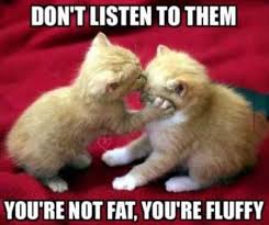34 Super Funny And Cute Animal Pictures Cute Animal Quotes Cute Animals Funny Animal Jokes
