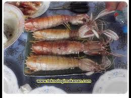 Mari kita bersama pelajari makanan ringkas dan enak ini. Cara Makan Udang Lipan Youtube