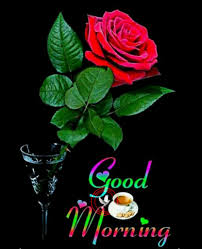 Get the latest best good morning wishes in hindi with images for whatsapp, facebook. Beautiful Life Hindi Punjabi Suprabhat Goodmorning Haveablessedday Facebook