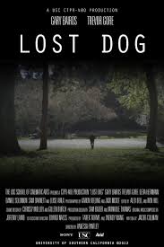 Image result for lost dog