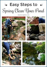 The algae that sticks on the pool liner, as long as its growth is under control, protects fish and combats green water caused by other algae. Successfully Clean Your Pond For Spring Aquascape Inc