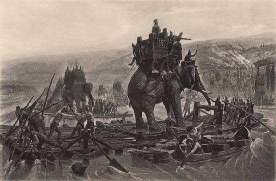 War elephant - Wikipedia