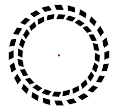 Braingle Optical Illusions Brain Teasers Illusions Optical Illusions
