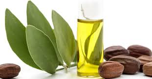 Huile De Jojoba Avantages Utilisations Et Contre Indications Planet Bio