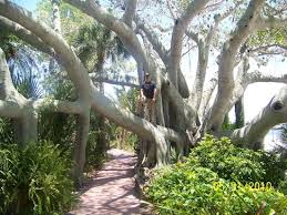 The island boasts of having the world's fishingest bridge — the drawbridge on route 78 into the island's first town, matlacha. The 10 Best Things To Do In Bokeelia United States