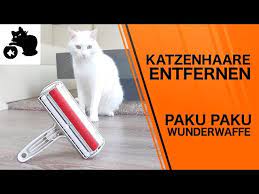 Meistens dürfen sich unsere kleinen fellnasen überall in der. Katzenhaare Entfernen Paku Paku Multi Use Test Tierhaare Entfernen Sofa Teppich Stoffbezuge Youtube