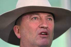 The straw that broke the camel's back': sexual harassment claim forces  scandal-hit Australian deputy PM Joyce to quit