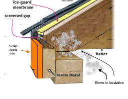 Anatomy dissection of a cadaver showing dorsum of foot using scalpel scissors and forceps cutting skin flap revealing important structures arteries veins nerves What Is This Gap Above The Fascia Trim Called And Does It Pose Any Ice Dam Risk Home Improvement Stack Exchange