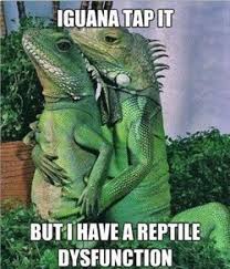 Explore reptiles quotes by authors including david icke, william blake, and nicolas cage at brainyquote. Reptile Tumblr Quotes Reptile Mk Tumblr Dogtrainingobedienceschool Com