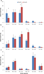 Image result for Aristida scabrivalvis