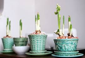 Flea Market Finds Vintage Flower Pots Vintage Flower Pots Vintage Pottery Green Pottery