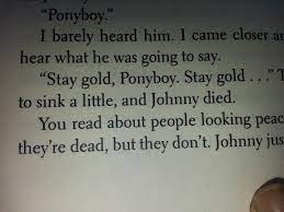 The sky was lighter in the east, and the horizon was a thin golden line. The Outsiders Best Quote Ever The Outsiders Johnny The Outsiders Quotes Best Quotes