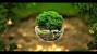 High Resolution Nature Computer Backgrounds
