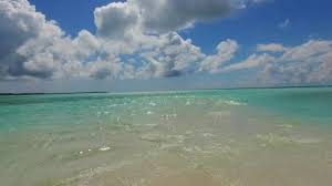 We did not find results for: 205 753 Beach Background Stock Videos Royalty Free Beach Background Footage Depositphotos