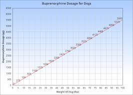 Buprenorphine For Dogs Veterinary Place
