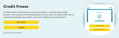 A pin is no longer needed for online freezing or lifting an equifax credit freeze. What It Means To Freeze Your Credit When It S A Good Idea