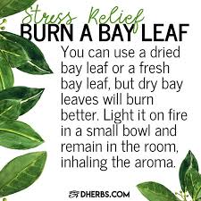 Try This Simple Herbal Remedy To Relieve Stress And Let Us Know If It Worked Out Coconut Health Benefits Remedies Health