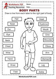The xiphoid process is a part of the sternum, namely the breastbone. 2ms Body Parts Middle School Teacher S All Documents Facebook