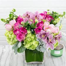 Maybe you would like to learn more about one of these? Ooo La La In Beverly Hills Ca My Beverly Hills Florist