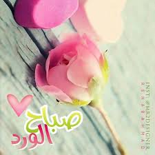 pin by nawal queen on صباح الخير good morning images good morning arabic morning pictures