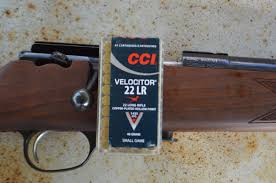 Older revolvers and even some newer but cheaply made. Is The 22 Lr Suitable For Defense The Shooter S Log