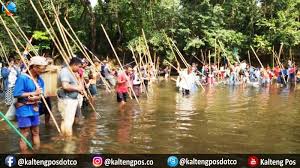 Bahkan 12 jenis ikan di antaranya merupakan ikan langka dan 40 jenis. Kearifan Lokal Dan Tradisi Menuba