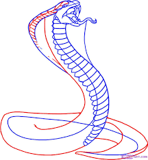 Check spelling or type a new query. How To Draw A Snake King Cobra Cobra Snake King Cobra Snake