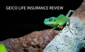 All have been in business for decades, enjoy top financial strength ratings and are well known. Life Insurance Company Reviews Life Insurance Shopping Reviews