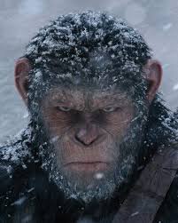 Mittlerweile hat er selbst eine frau und ein baby. Caesar Planet Der Affen Wiki Fandom