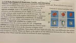 We did not find results for: B H20 H20 Ho Animal Cell Normal 2 Cell Walls Chegg Com