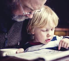 Gizmo's Angels works to feed all pets