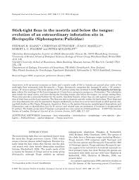 PDF) Stick-tight fleas in the nostrils and below the tongue: Evolution of  an extraordinary infestation site in Hectopsylla (Siphonaptera: Pulicidae)