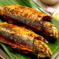 Sunbeam aquarium wholesale facility at chencharu consists of 2 buildings sitting on 10 000 square feet of mar ikan ber jacket. Scads Resepi Ikan Cencaru Sumbat Sambal 6x6 1 Jpg Durack Aussie Seafood House