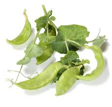 Image result for Pisum sativum