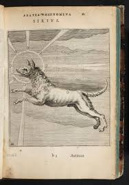 Aratus Solensis 1600 Hug Grotii Syntagma Arateorum Sirius Art Inspiration Witch Art Art
