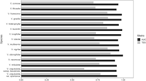 Image result for Vigna comosa