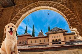 Nombres Arabes Para Perros Y Su Significado