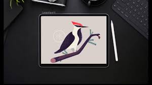 Cizim Tableti Ipad Pro Ile Adim Adim Dijital Cizim 1 2020 Ipad Cizim Dijital Boyama