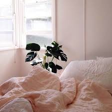 Warm And Cozy Bedroom Plants Aesthetics Hipsters Tumblr Instagram Bedroom Decor Ideas Inspiration Aesthetic Bedroom Bedroom Plants Bedroom Decor