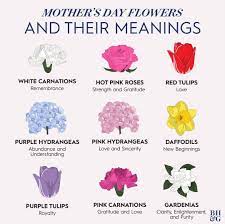 Socooldesigns Posted To Instagram Happy Mothers Day Better Homes Gardens Betterhomesandgardens On Instagram Flower Meanings Fancy Flowers Flower Names