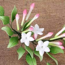 Pin On Decorating