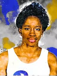 Pitt Athletics Hall of Fame