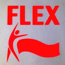 GJS Flex PU Polyurethane Heat Transfer Vinyl