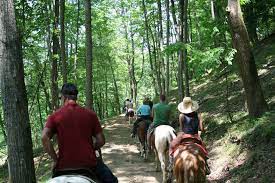Sandy Bottom Trail Rides Horseback Riding North Carolina Mountains North Carolina Vacations