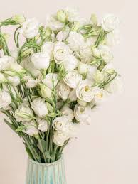 Image result for eustoma lisianthus in vase