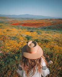 Huell visits three places across the state where the splendor of california is in full bloom: Super Bloom 2019 In Antelope Valley California Usa Madeline Lu