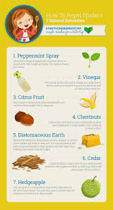 How To Repel Spiders 7 Natural Remedies Natural Spider Repellant Spiders Repellent Natural Remedies